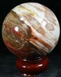 Colorful Petrified Wood Sphere #26633-2
